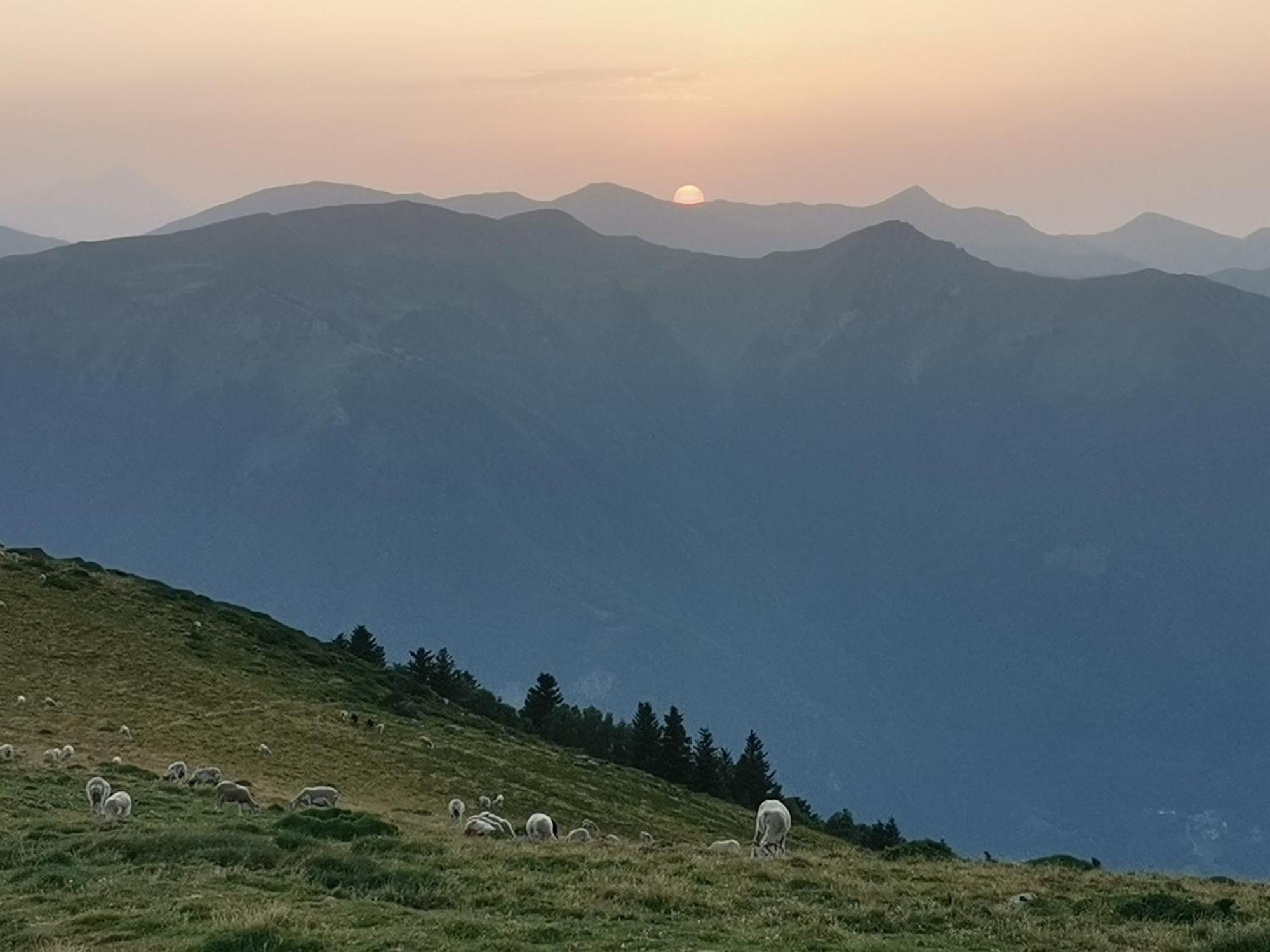 Maison 13 Pers A 10Mn De Luchon Cazaux-Layrisse Dış mekan fotoğraf